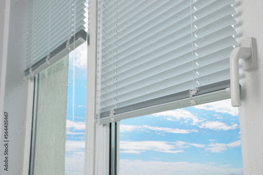 Attractive Auburn mini blinds in WA near 98001