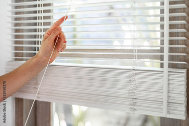 Attractive Bonney Lake mini blinds in WA near 98391