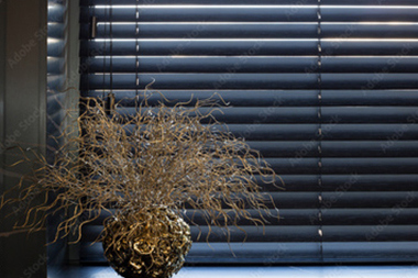 Attractive Kent mini blinds in WA near 98031