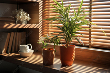 Beautiful Lake Tapps wooden blinds in WA near 98092